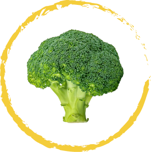 brocoli