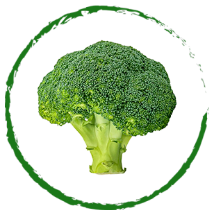 brocoli